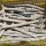 新鲜牛大力各种规格广东阳江原产地直供无杂质欢迎电话咨询
