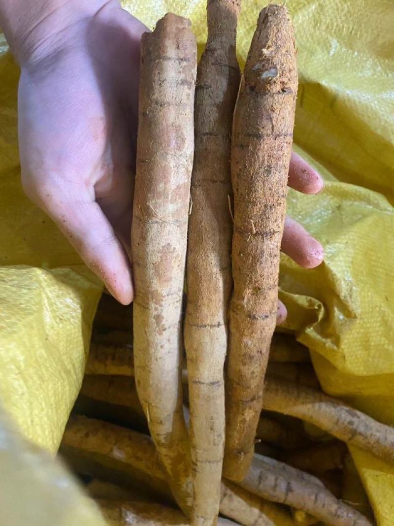精品牛大力产地直发量大质优大牛中牛小牛小小牛大次牛
