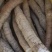 精品牛大力产地直发量大质优大牛中牛小牛小小牛大次牛