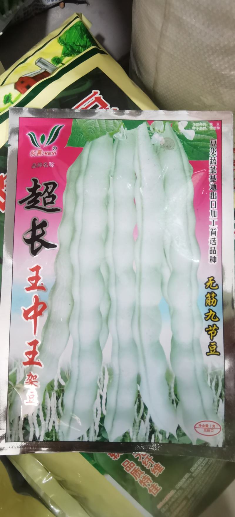 架豆种子超长王中王长荚厚肉白色四季豆结荚多采摘期长