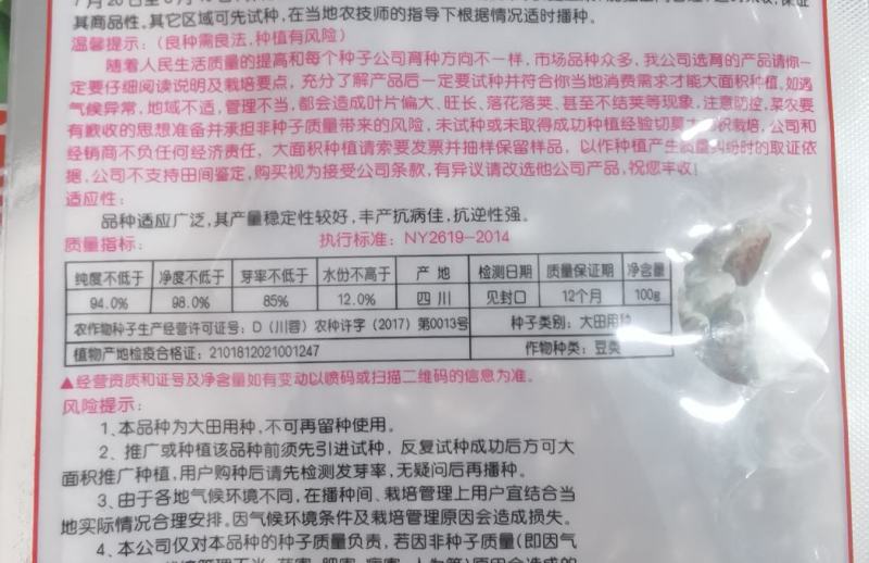 架豆种子超长王中王长荚厚肉白色四季豆结荚多采摘期长