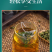 （包邮）桑叶茶100包正宗霜后霜打过的干桑叶茶新鲜
