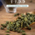 （包邮）桑叶茶100包正宗霜后霜打过的干桑叶茶新鲜
