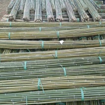 构架竹竿菜架竹节短大棚竹竿有㓞性山头价发价格优惠
