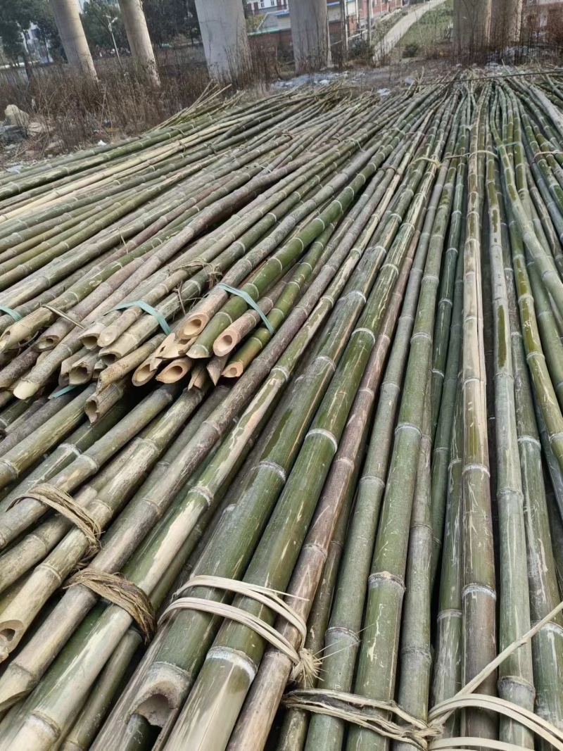 构架竹竿菜架竹节短大棚竹竿有㓞性山头价发价格优惠