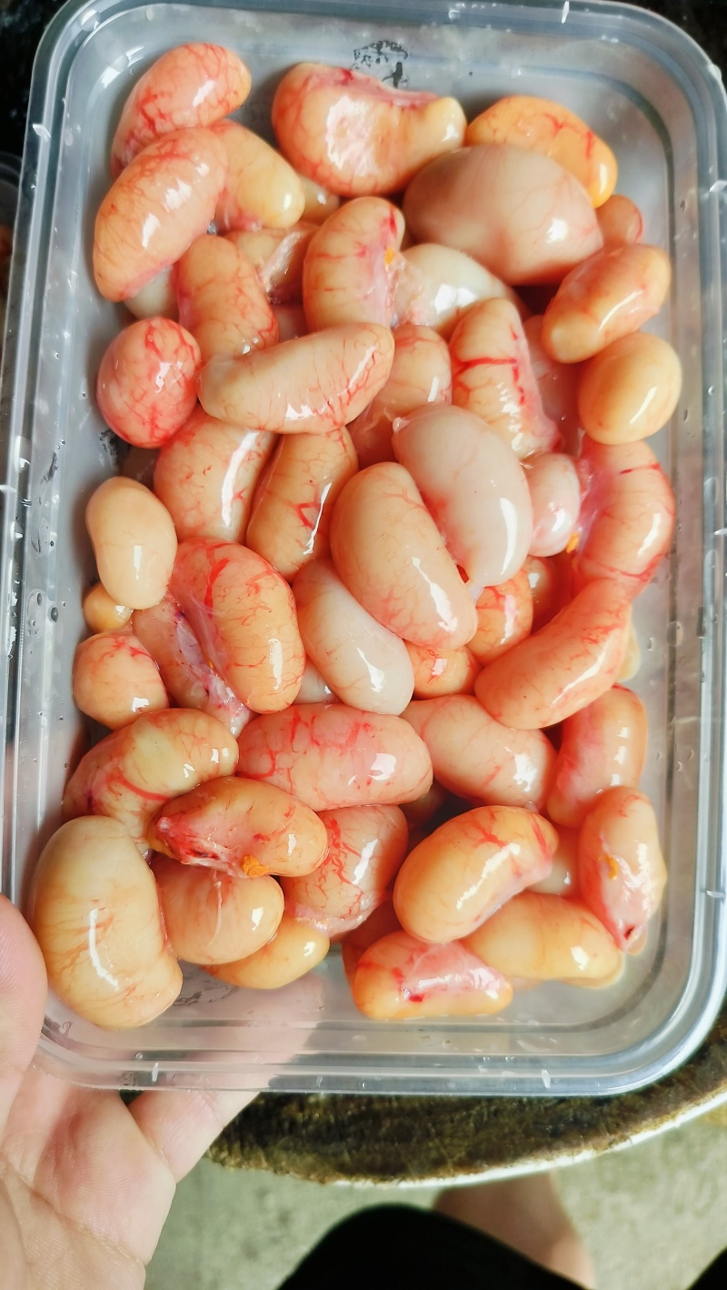 原装新鲜鸡腰子