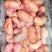 原装新鲜鸡腰子