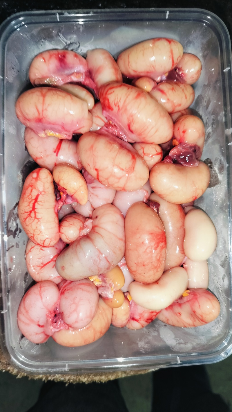 原装新鲜鸡腰子