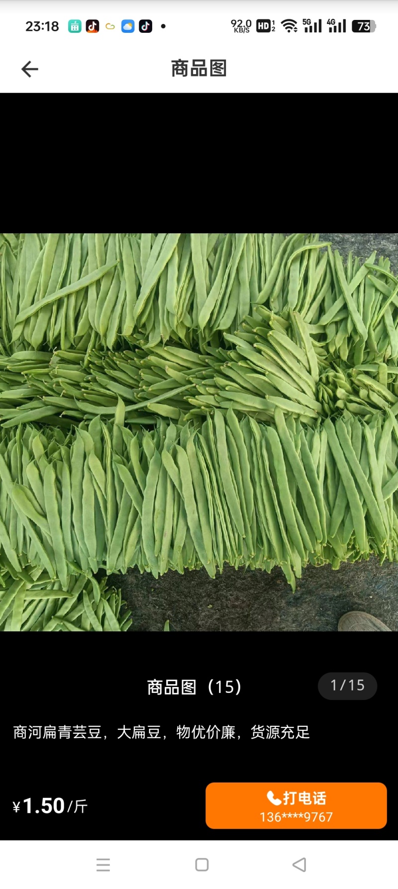 热销扁豆，山东省商河县扁青芸豆