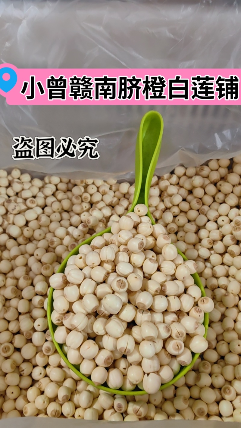 江西新鲜莲子通心莲子纯手工大粒莲子米大量批发