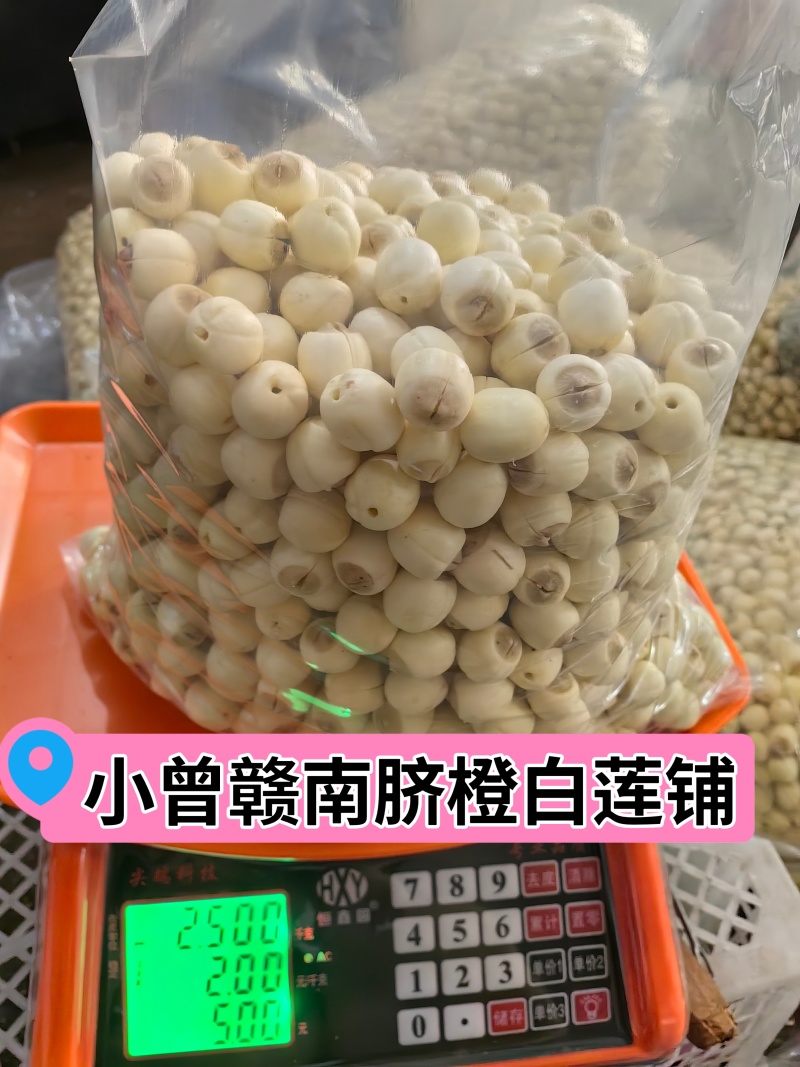 江西新鲜莲子通心莲子纯手工大粒莲子米大量批发