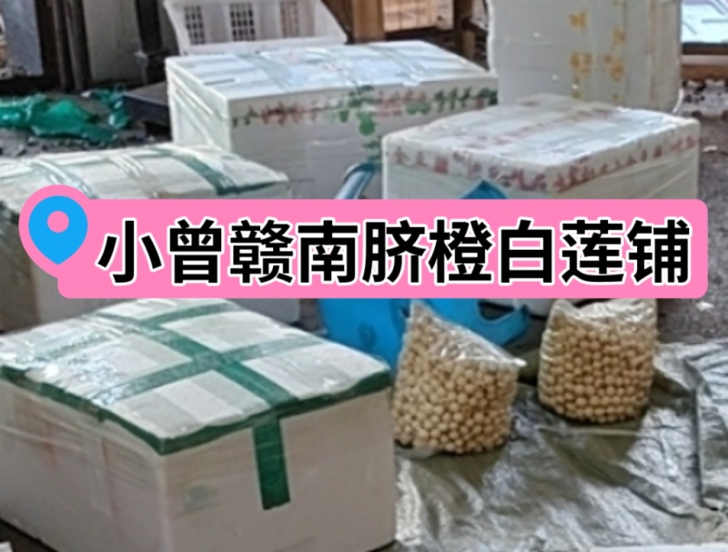 【牛商商家】江西产地白莲子饱满无硫手工干莲子干货批发