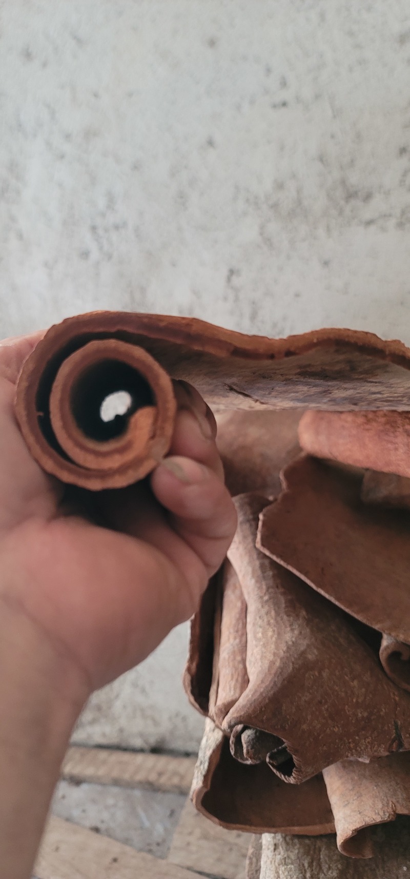 [岭南油桂]特厚高去皮通味辛温主百病养精神药膳同源薄肉桂