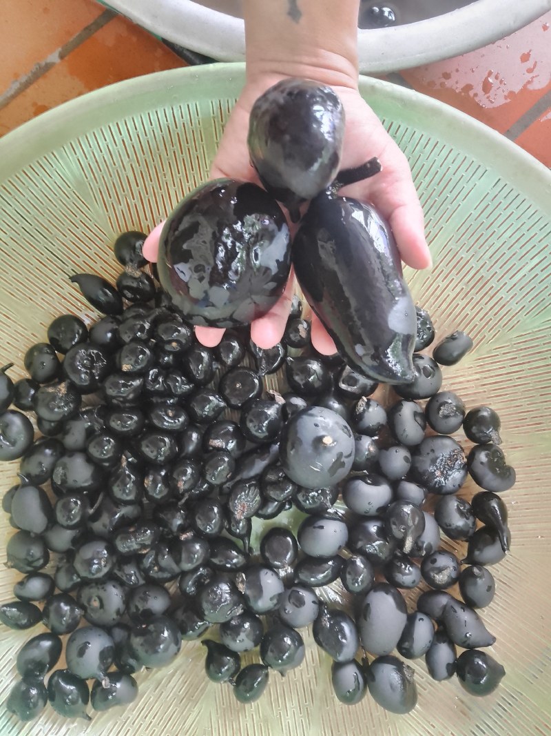 野生乌灵参干品，实心，纯黑，各种规格都有现货
