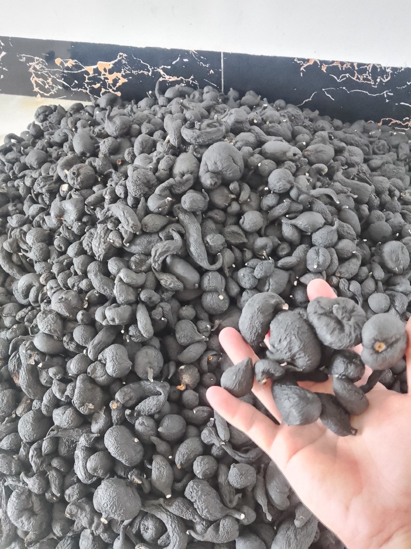 野生乌灵参干品，实心，纯黑，各种规格都有现货
