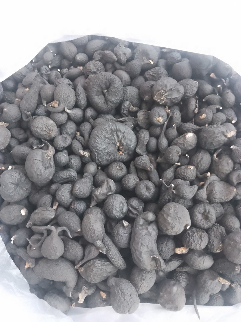 野生乌灵参干品，实心，纯黑，各种规格都有现货