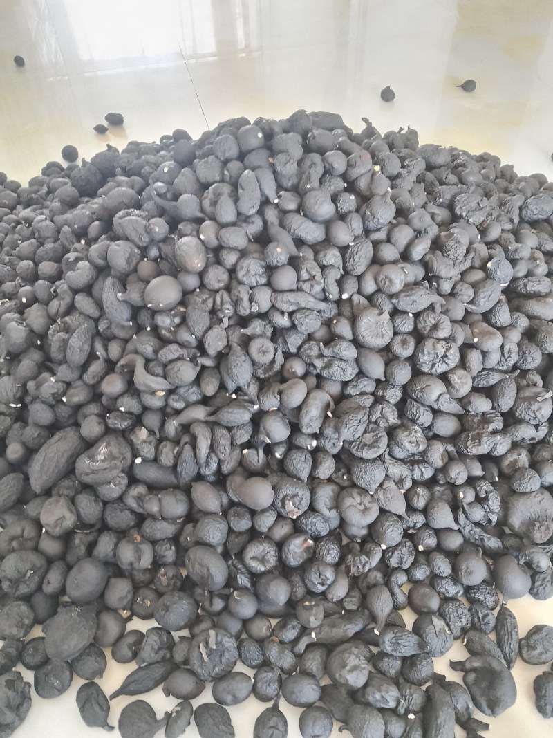 野生乌灵参干品，实心，纯黑，各种规格都有现货