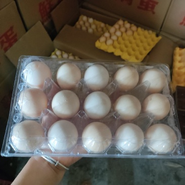土鸡蛋