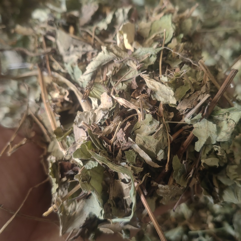 便宜卖碎叶鱼腥草湖南深山野生干货整颗晒折耳根鱼腥草干
