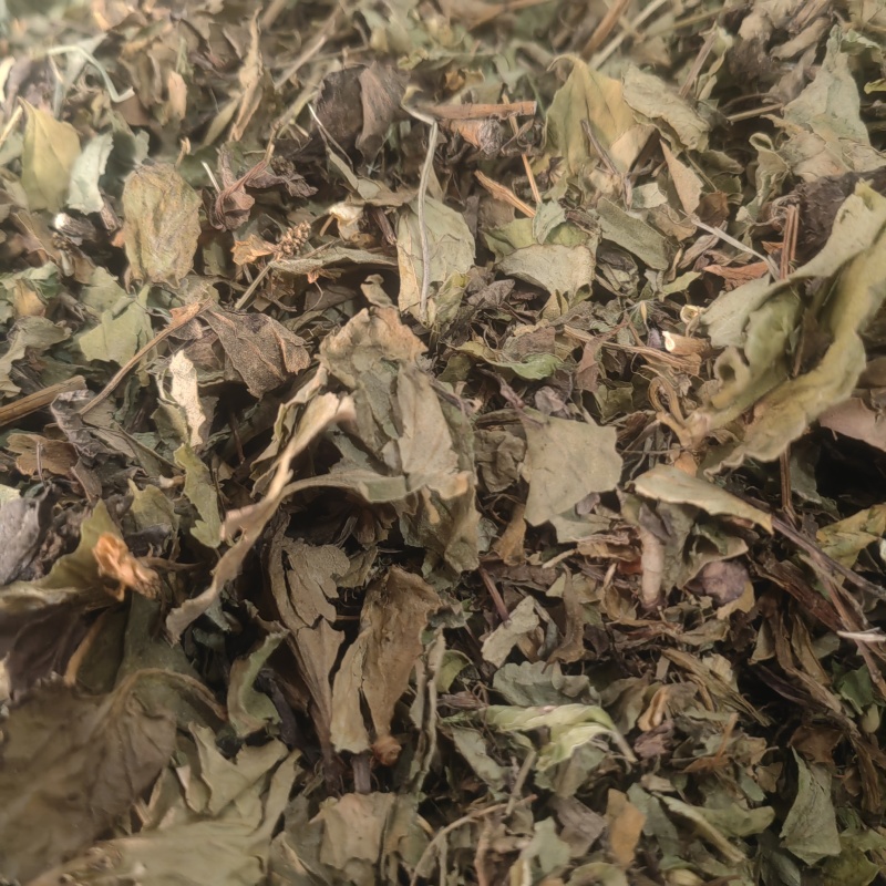 便宜卖碎叶鱼腥草湖南深山野生干货整颗晒折耳根鱼腥草干