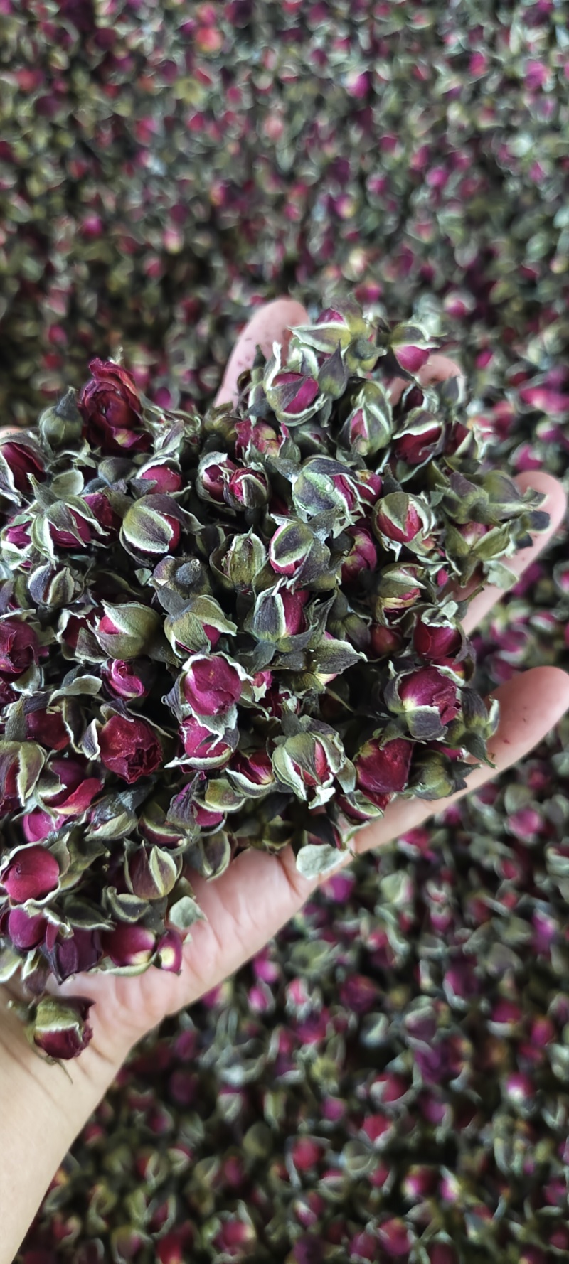 玫瑰花茶
