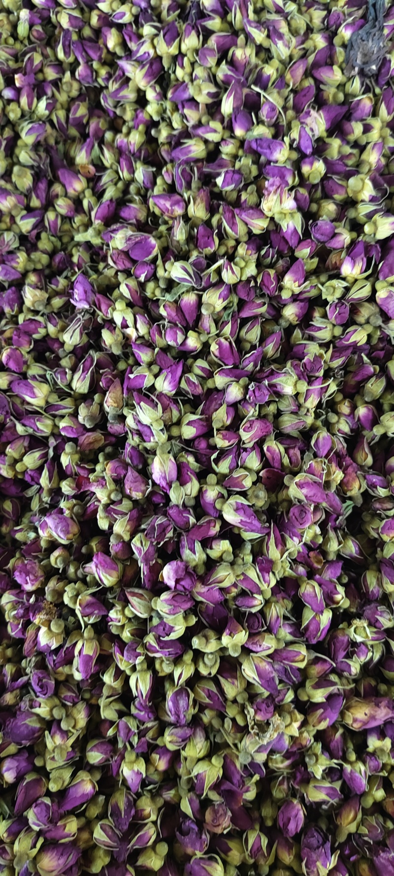 玫瑰花茶