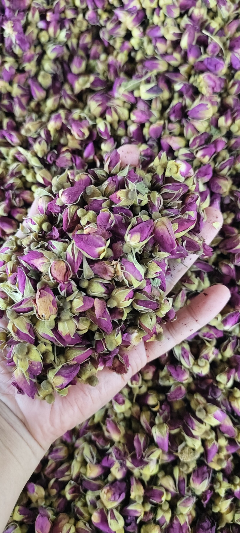 玫瑰花茶