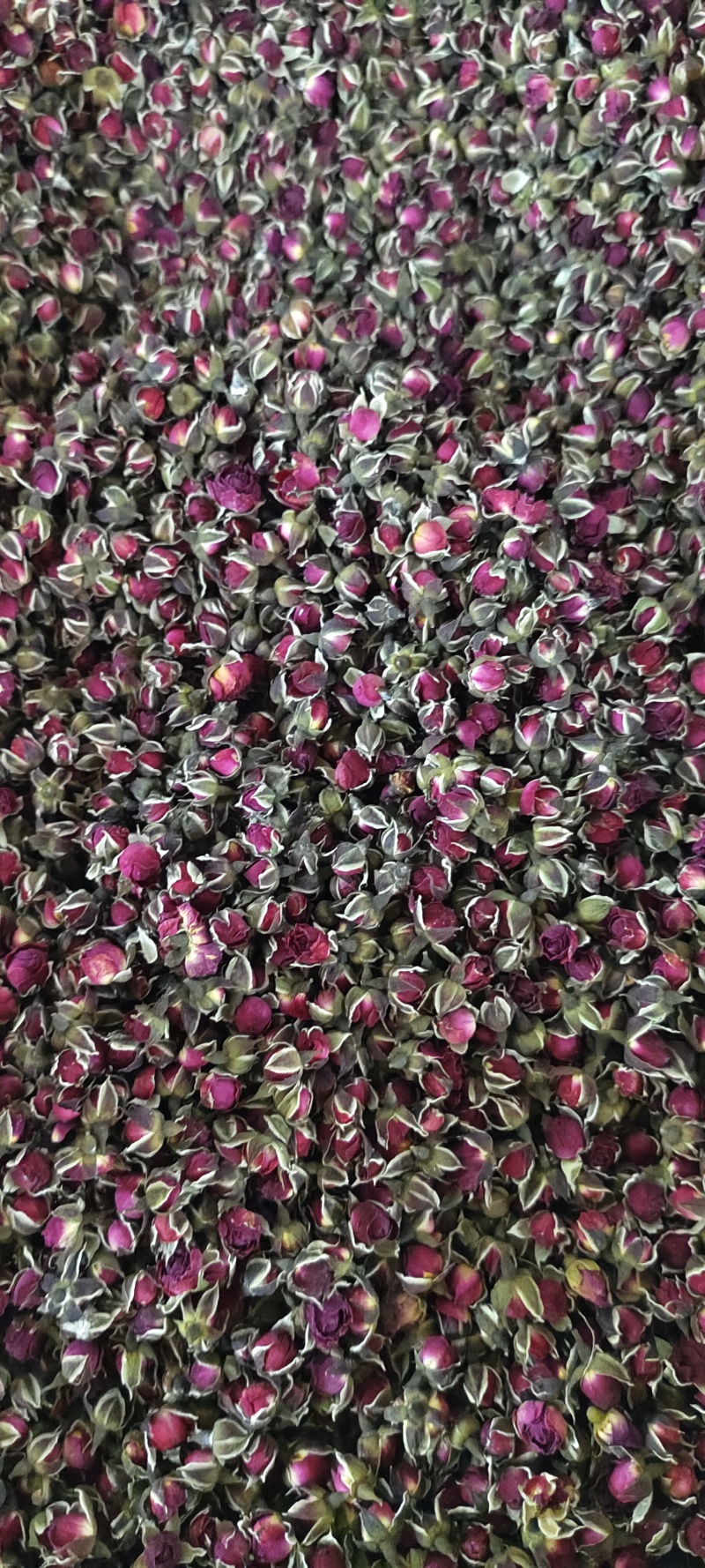 玫瑰花茶