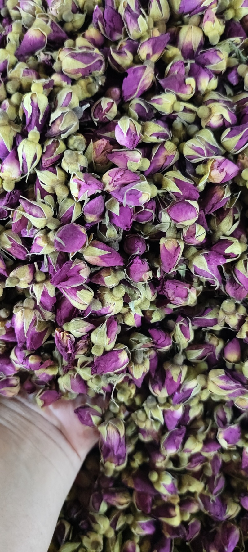 玫瑰花茶