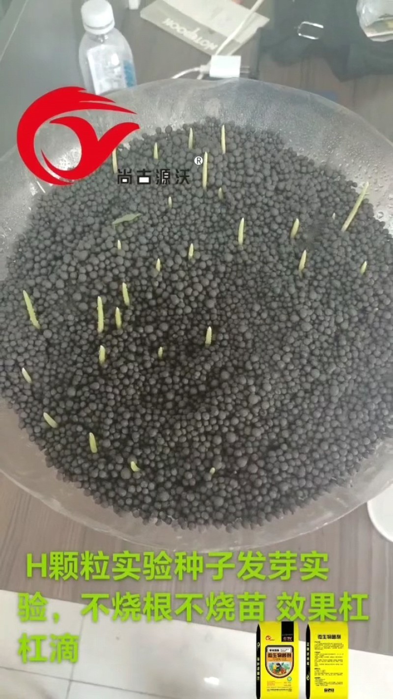大蒜.山药.土豆.葱.姜.红薯专用肥，颗粒每克5亿活菌