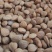 杏仁苦杏仁量大优惠质量保证中药材批发