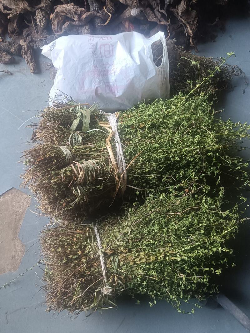 龙胆草
