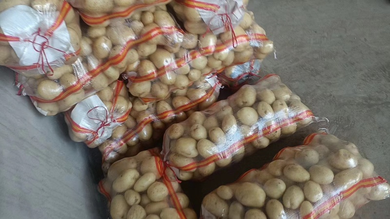 土豆大量供应产地直发可视频看欢迎各地采购商选购