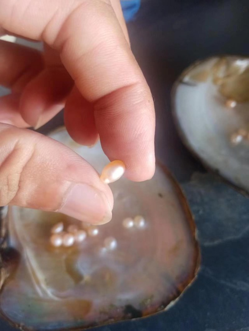 大量湛江特产出售，湛江珍珠
