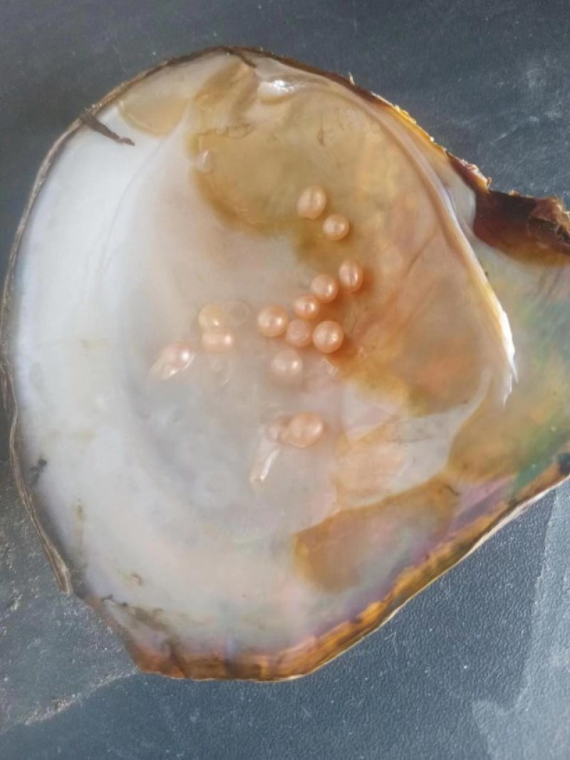大量湛江特产出售，湛江珍珠