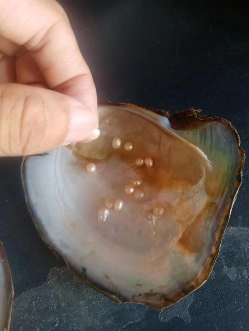大量湛江特产出售，湛江珍珠