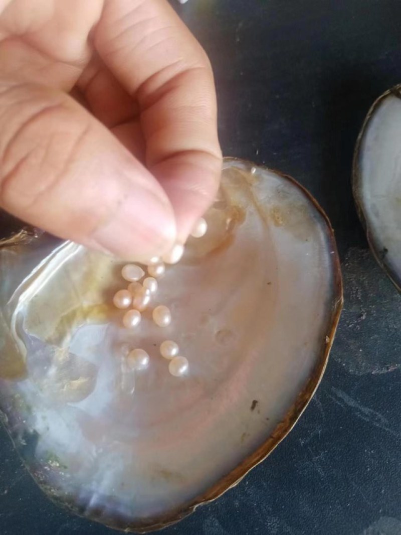 大量湛江特产出售，湛江珍珠