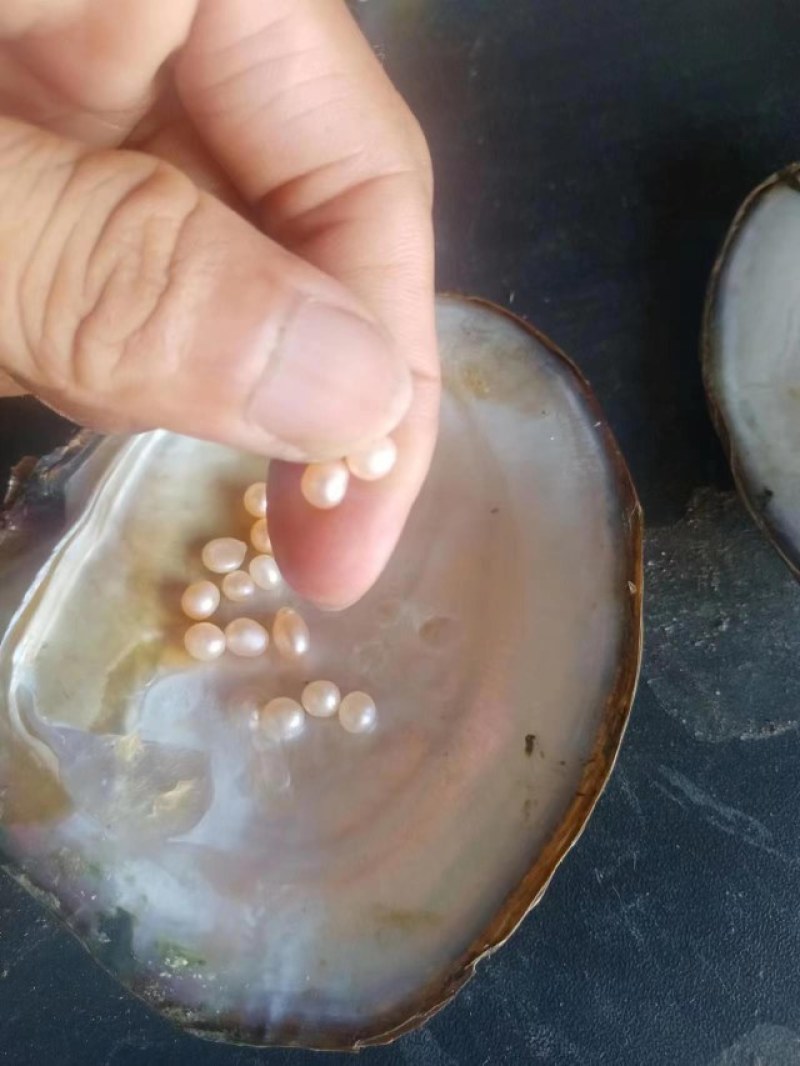 大量湛江特产出售，湛江珍珠