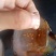 大量湛江特产出售，湛江珍珠