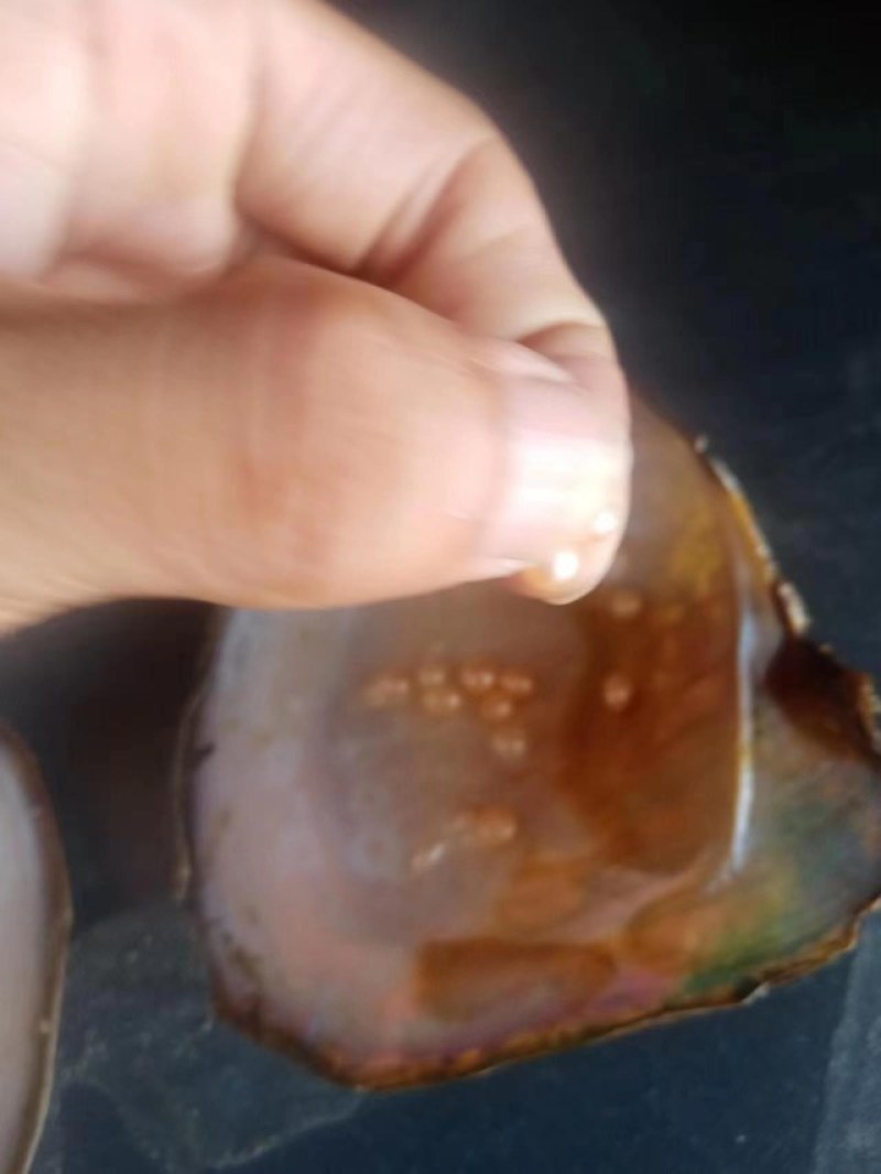 大量湛江特产出售，湛江珍珠