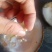 大量湛江特产出售，湛江珍珠