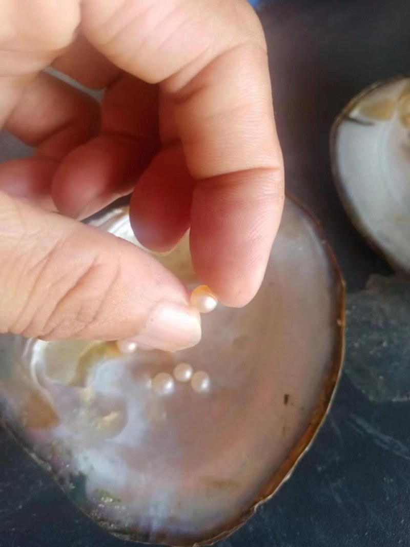 大量湛江特产出售，湛江珍珠