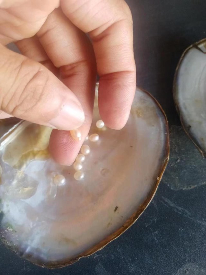 大量湛江特产出售，湛江珍珠