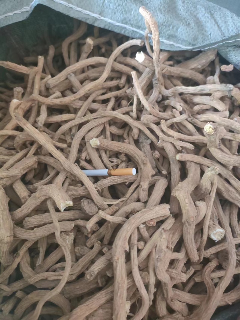 防风大条，统装，须子，片子货源充足，产地直发