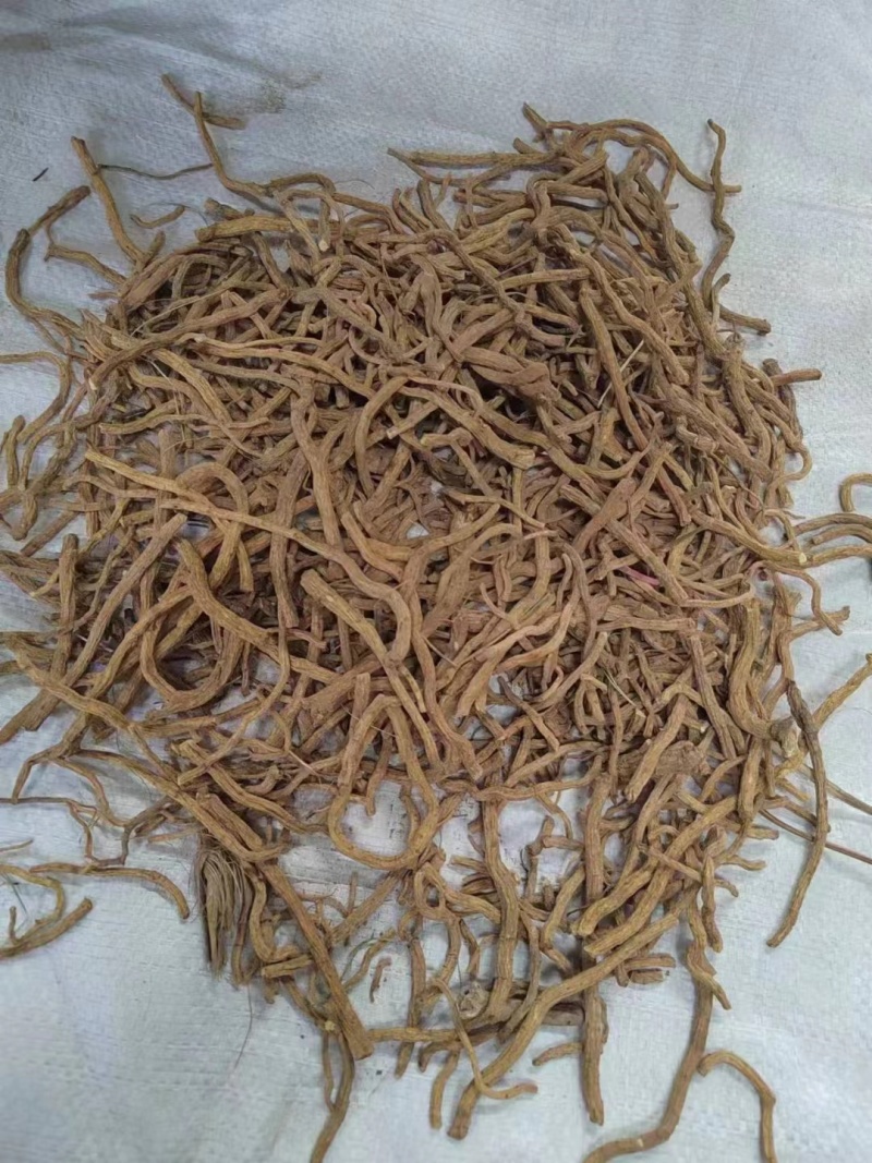 防风大条，统装，须子，片子货源充足，产地直发