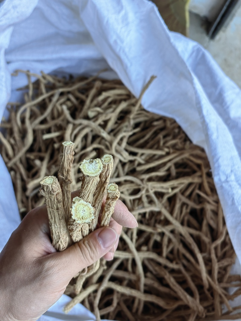 防风大条，统装，须子，片子货源充足，产地直发
