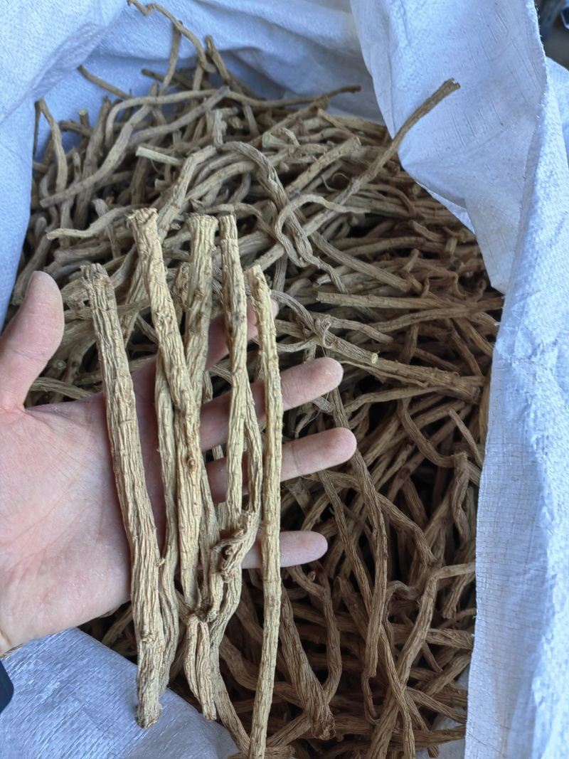 防风大条，统装，须子，片子货源充足，产地直发