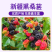 黑桑椹干/新疆黑桑椹干/自家种植/一件代发/大宗批发