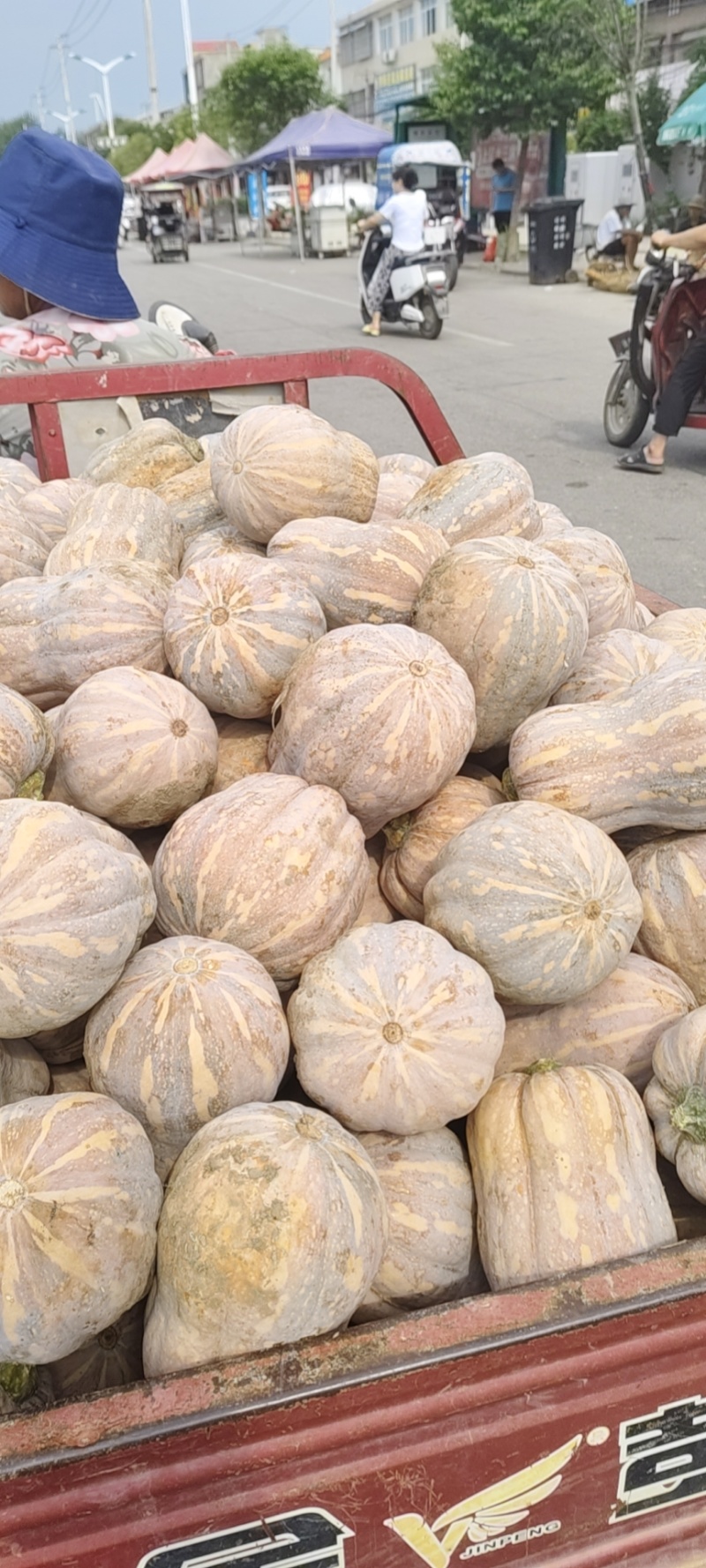 万亩金香花生南瓜口感软糯甜对接档口商超外贸电商诚意直发