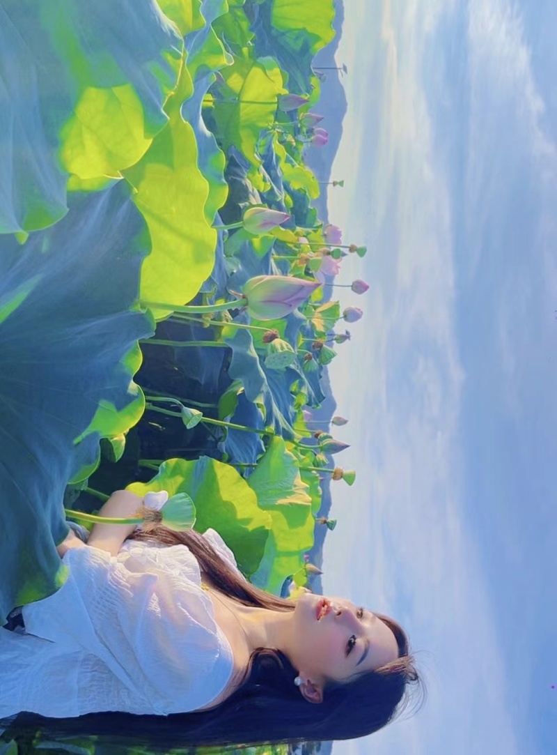 江西特产白莲鲜莲草莲